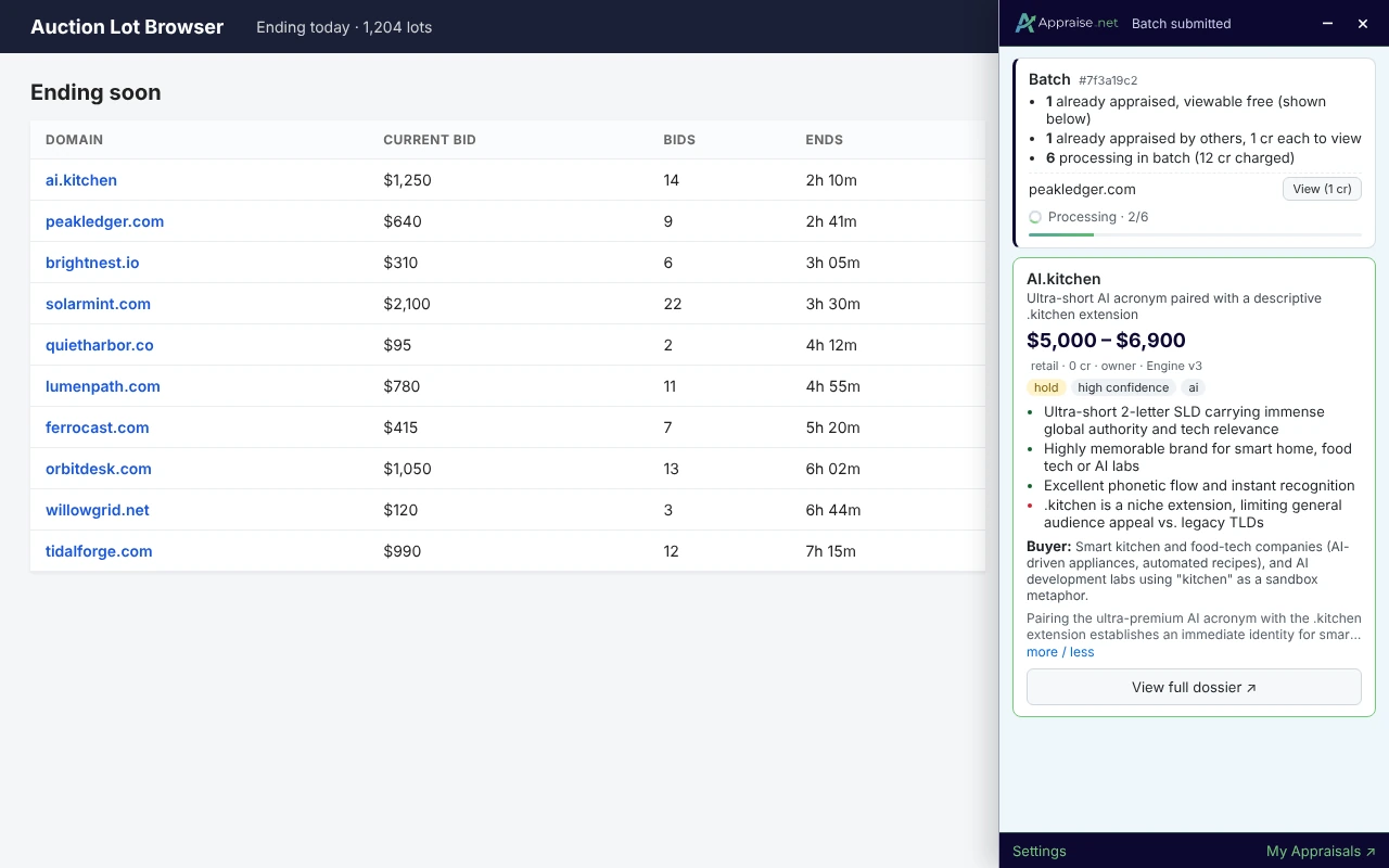 The batch card with the three-line summary, a "View (1 cr)" row, the processing status, and a free cached result card below it