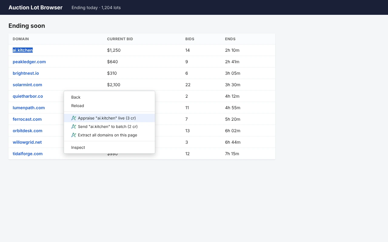 A highlighted domain with the right-click menu open showing the two Appraise items and "Extract all domains on this page"