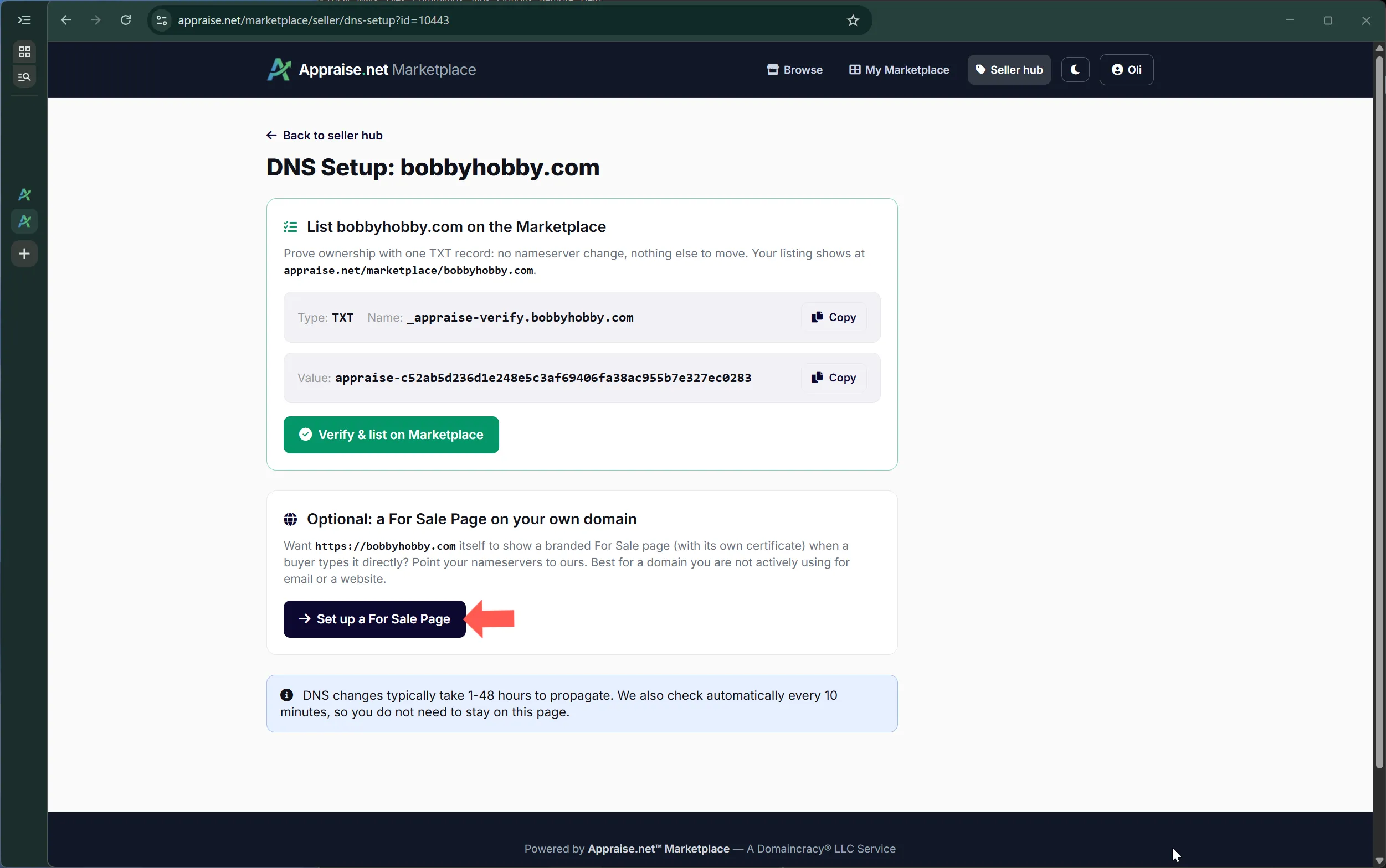 The nameserver instructions on the DNS setup page