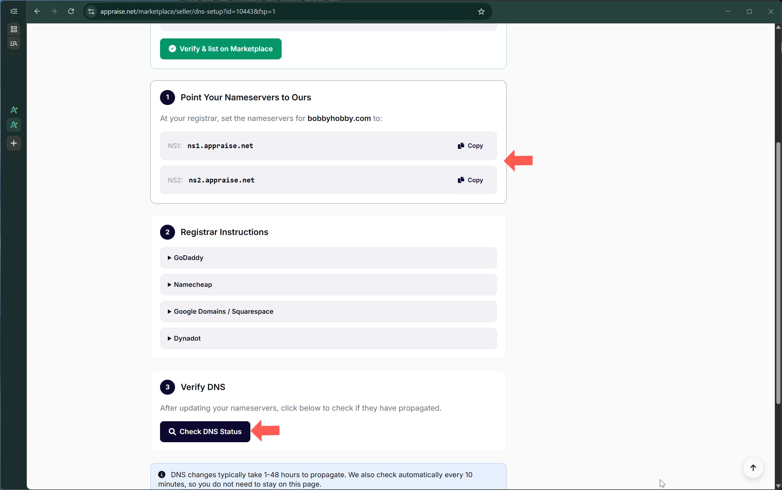 Registrar instructions and the Verify DNS step